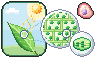 Pixel-art picture: Plant & Animal Cells