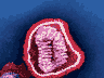 Picture for the story “The Flu Tracker That Failed”