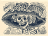 Picture for the story “The Lady Skeleton”