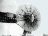 Picture for the story “The Windmill in the Garden”