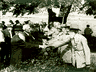 Picture for the story “The Last Civil War Pension”